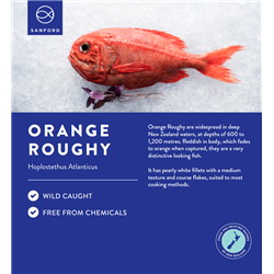 Orange Roughy